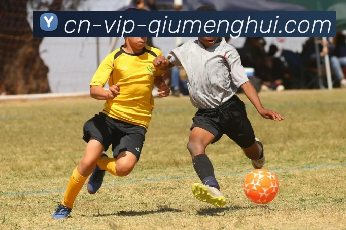 球盟会平台生态图