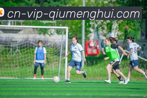 球盟会APP 封面图